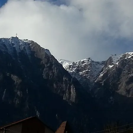 Conac Bavaria
